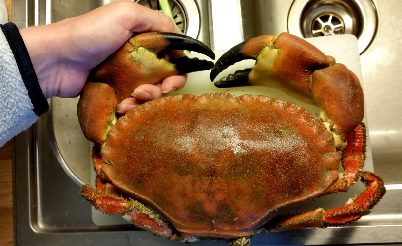 First usage of new boat&nbsp;sonar