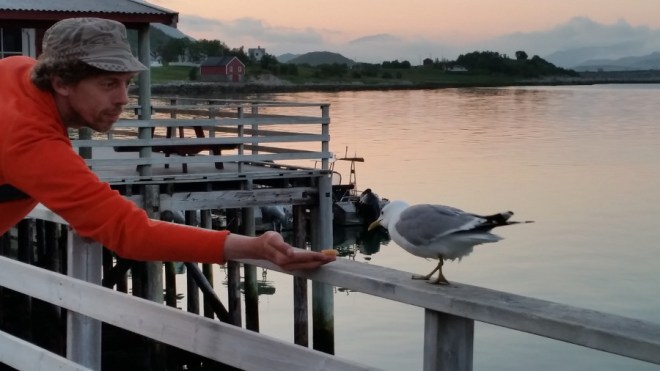 Seagull on its way to food in hand